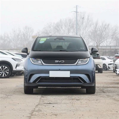 2025 BYD najbolji električni automobili